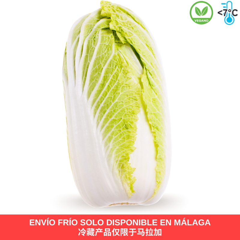 Col China Fresca 1ud