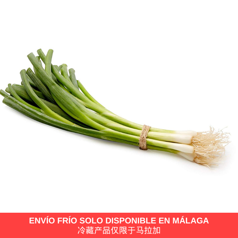 Cebolletas 1pcs